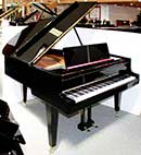 Flgel-Grotrian-Steinweg-160-schwarz-106121-1-c